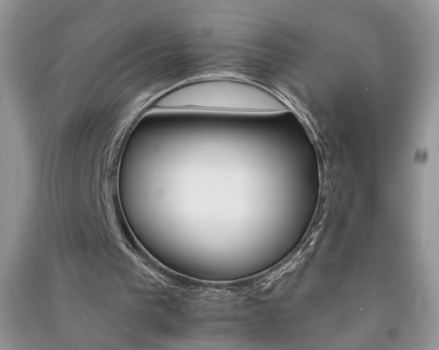 X0000091080193200708131305