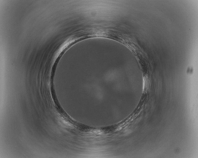 X0000091080195200708131305