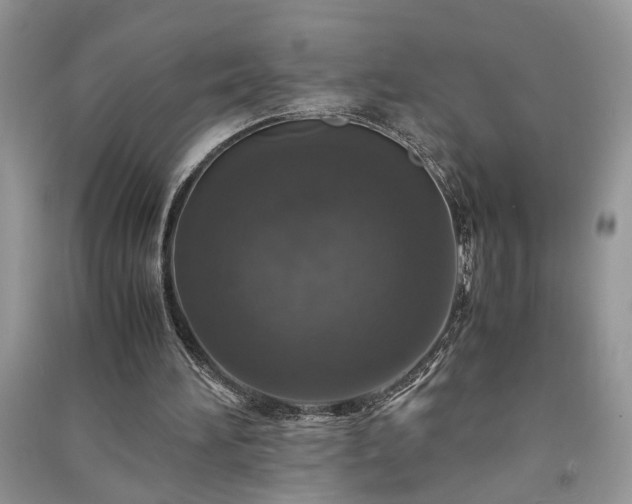 X0000091080196200708131305