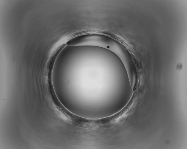 X0000091080197200708131305