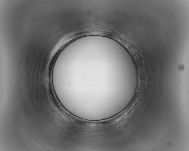 X0000091080198200708131305