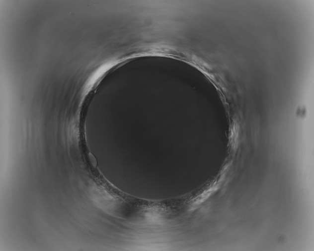 X0000091080200200708131305