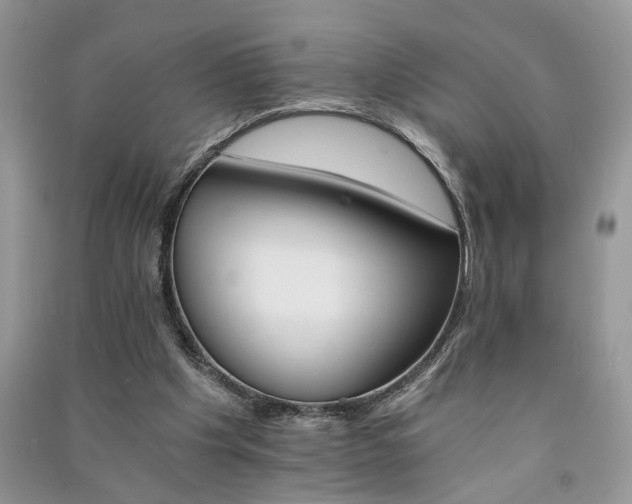 X0000091080201200708131305