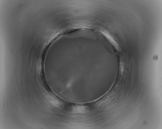 X0000091080202200708131304