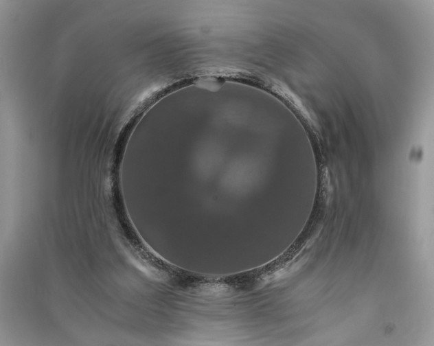 X0000091080203200708131304