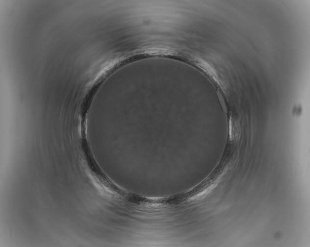 X0000091080205200708131304