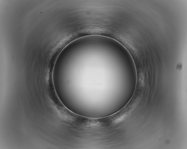 X0000091080206200708131304