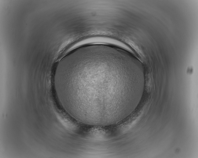 X0000091080207200708131304