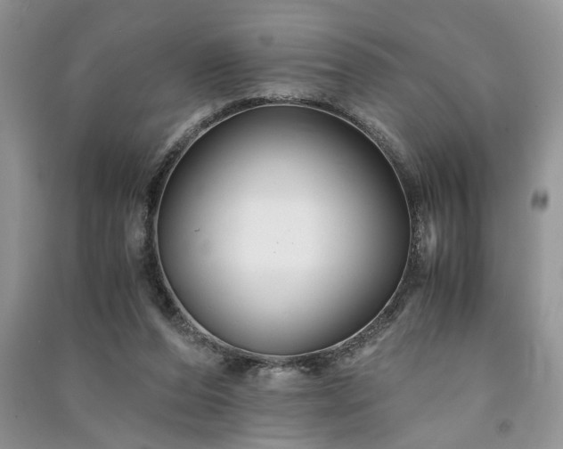 X0000091080208200708131304