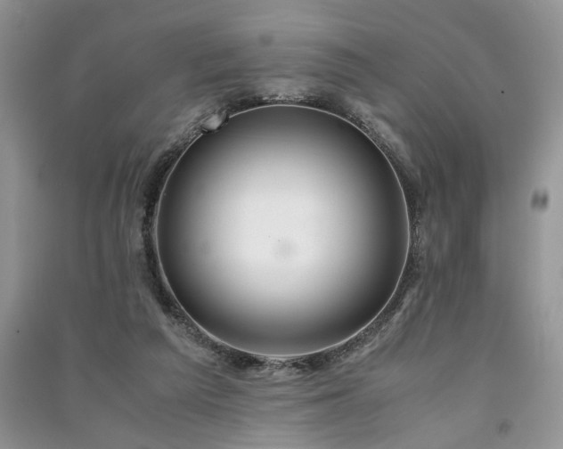 X0000091080209200708131304