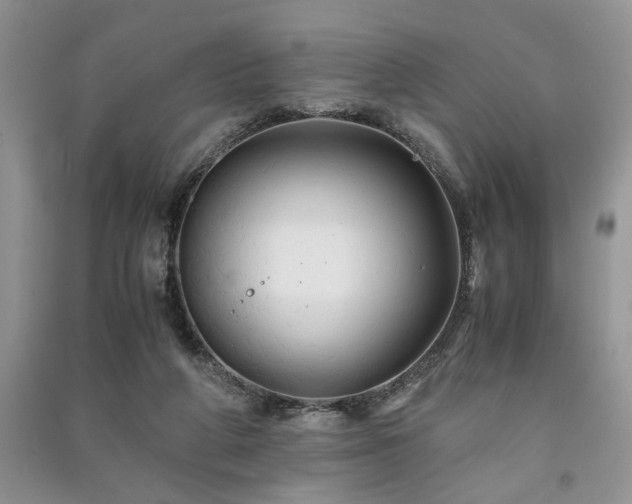 X0000091080210200708131304