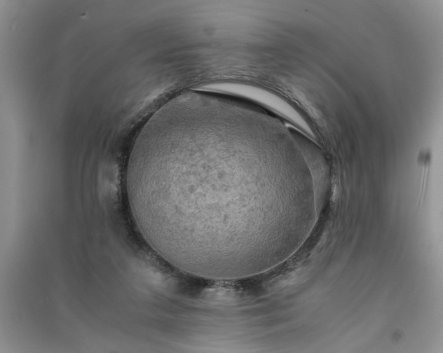 X0000091080211200708131304