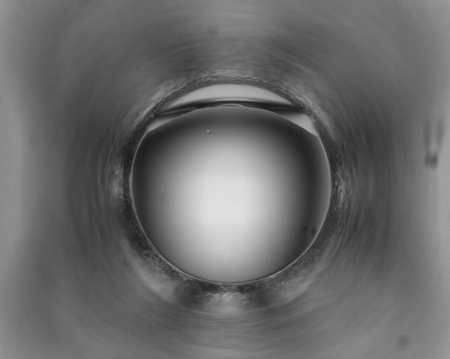 X0000091080212200708131304