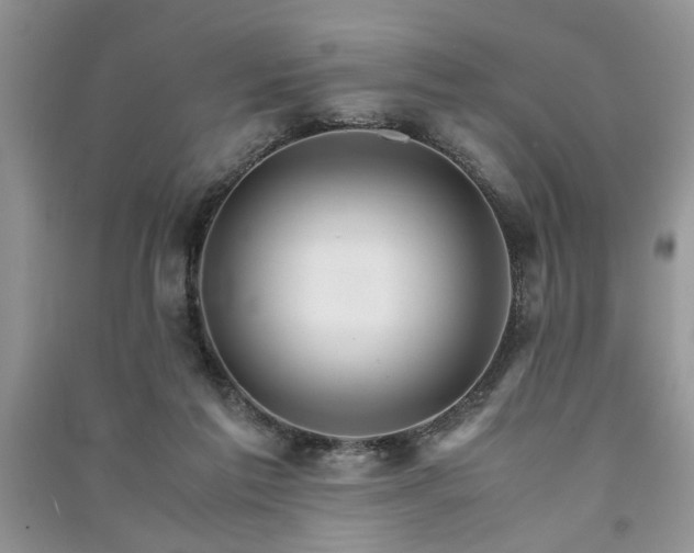 X0000091080213200708131304