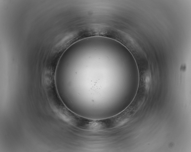 X0000091080218200708131304