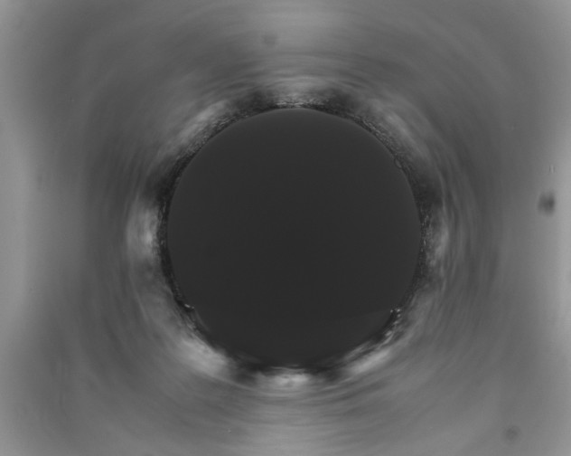 X0000091080219200708131304