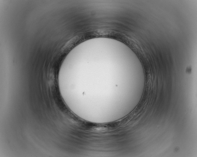 X0000091080220200708131304