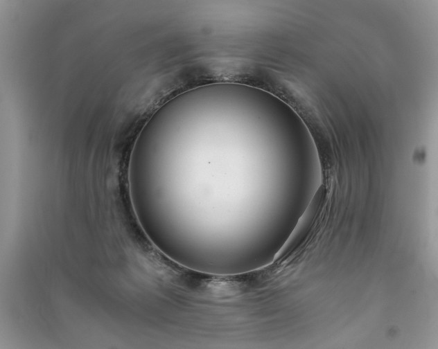 X0000091080221200708131304