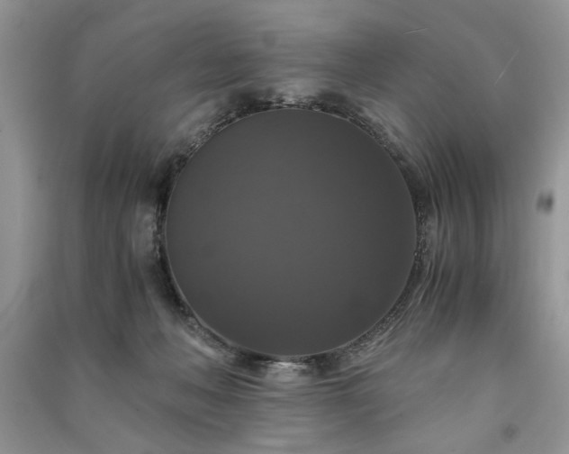 X0000091080222200708131304