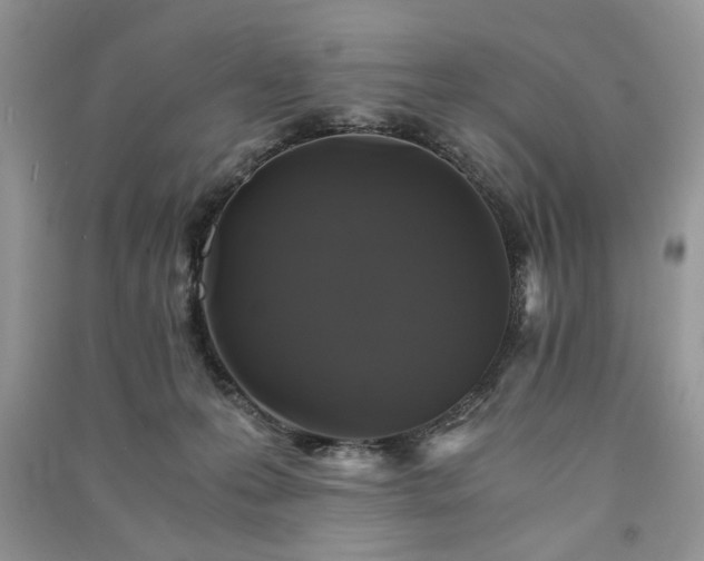 X0000091080223200708131304