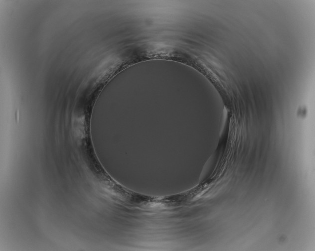 X0000091080224200708131304