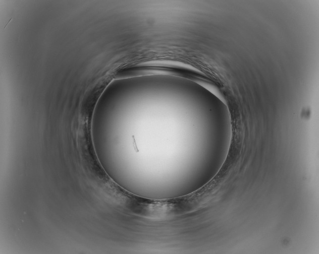 X0000091080225200708131304