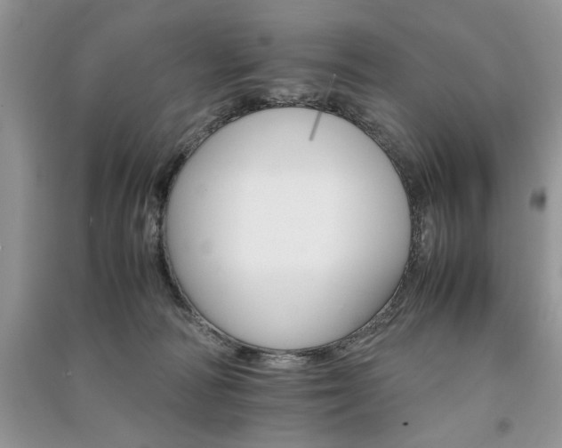 X0000091080226200708131304