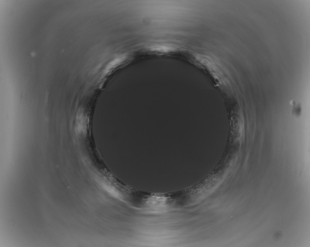 X0000091080227200708131304