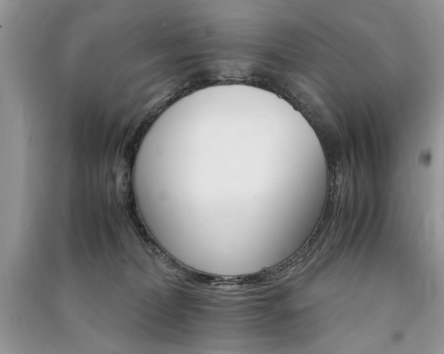 X0000091080228200708131304