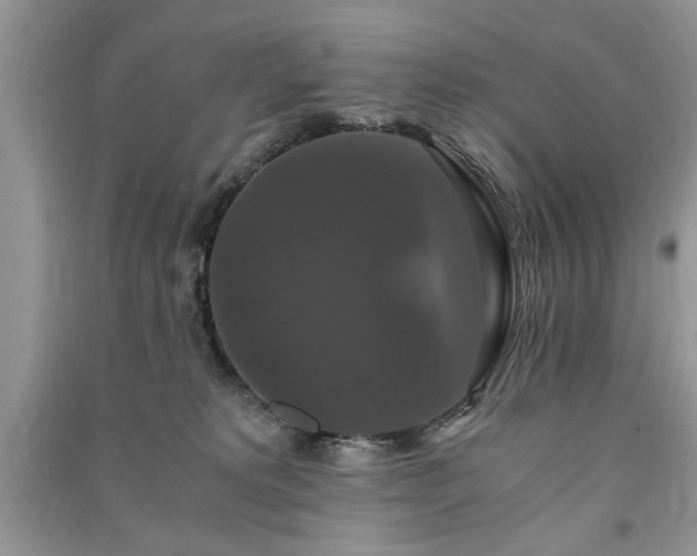 X0000091080229200708131304