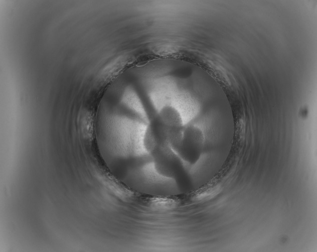 X0000091080234200708131304