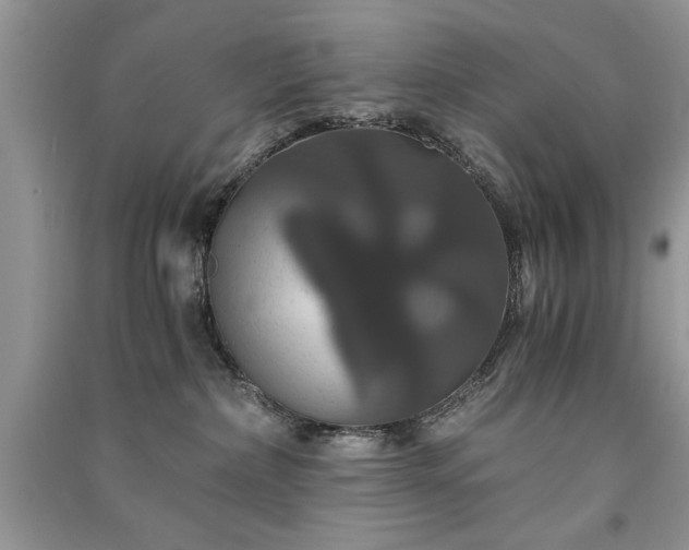 X0000091080236200708131304