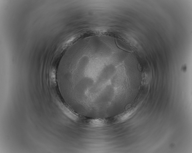 X0000091080238200708131304