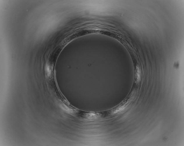 X0000091080239200708131304