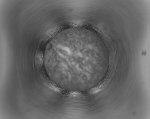 X0000091080240200708131304