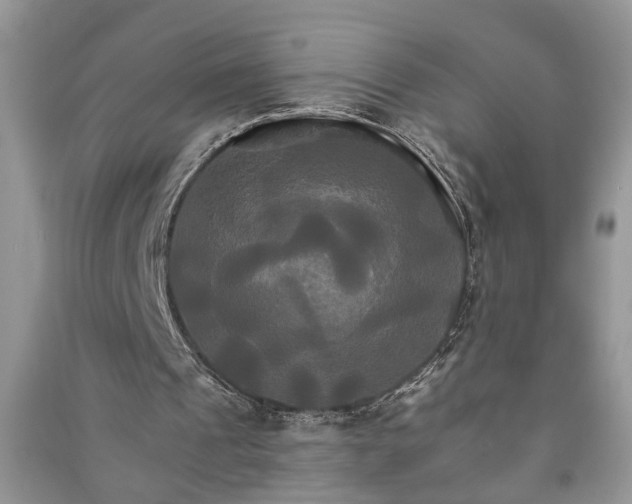 X0000091080241200708131303