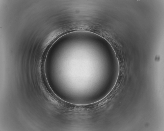 X0000091080242200708131303