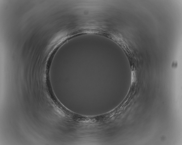 X0000091080243200708131303