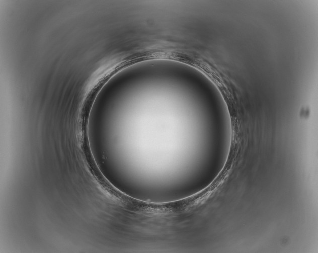 X0000091080245200708131303