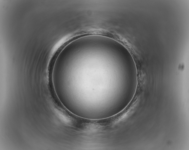 X0000091080246200708131303