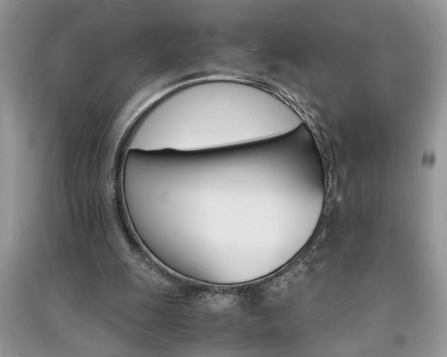 X0000091080247200708131303