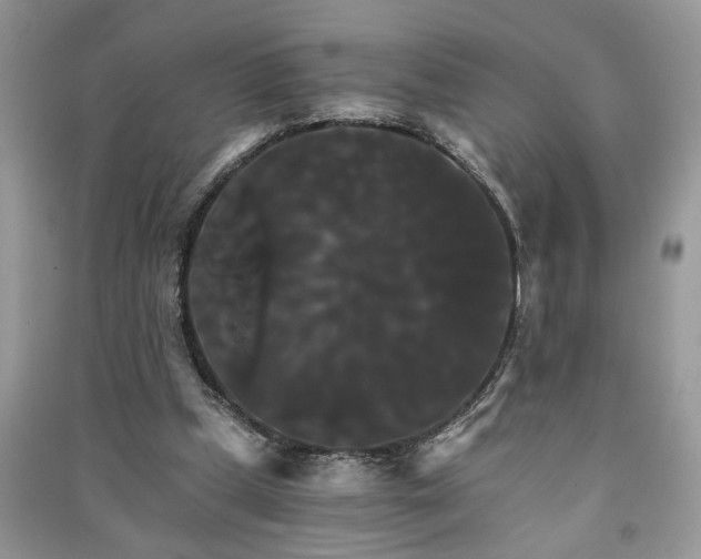 X0000091080249200708131303