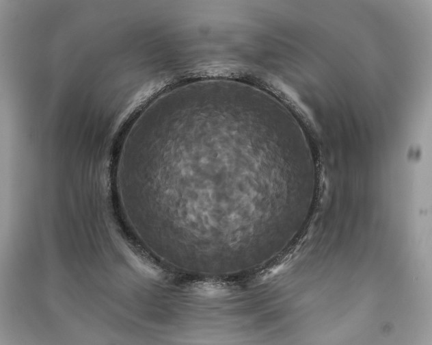 X0000091080250200708131303