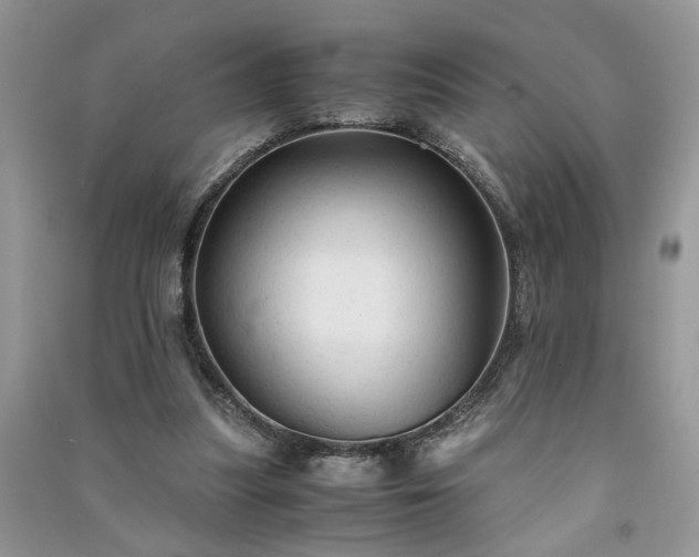 X0000091080251200708131303