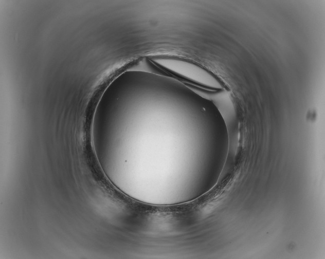 X0000091080252200708131303