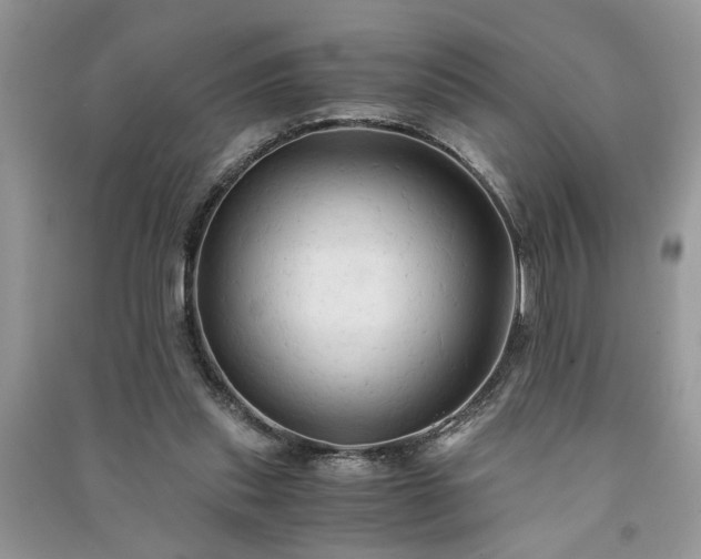 X0000091080253200708131303