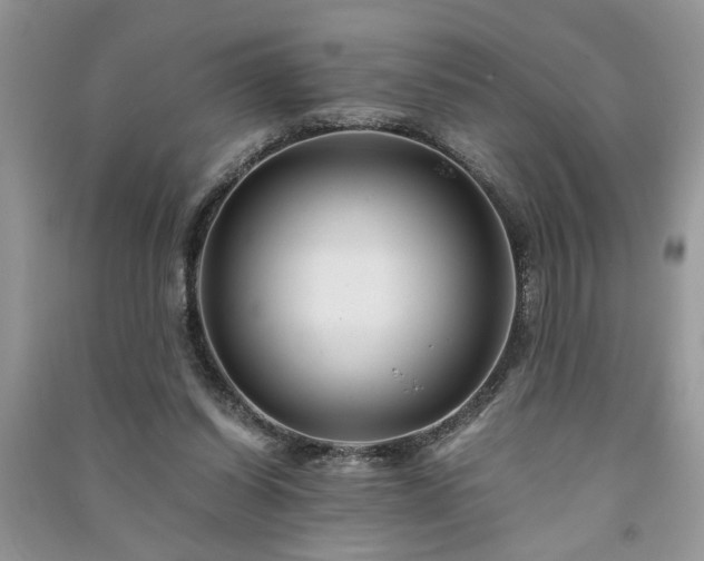 X0000091080254200708131303