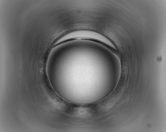 X0000091080255200708131303