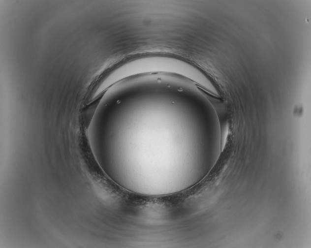 X0000091080256200708131303