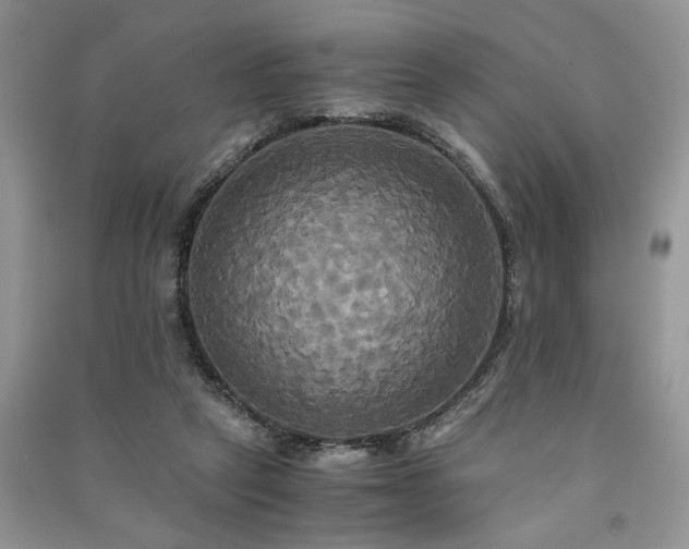 X0000091080257200708131303